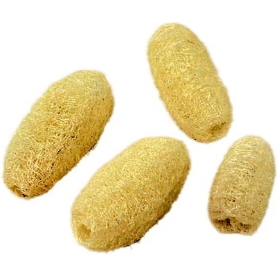 Lufa bílá mini, cena za 20ks
