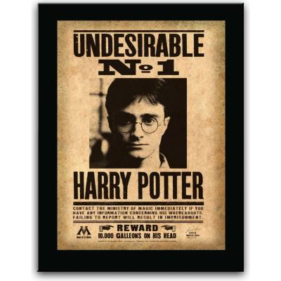 The Noble Collection Cedule na zeď Undesirable No. 1, dřevěná, Harry Potter