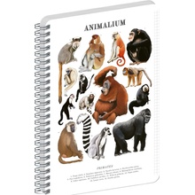 NOTIQUE Špirálový blok Animalium Primáty štvorčekovaný, A4