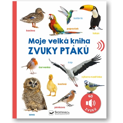 Moje velká kniha Zvuky ptáků