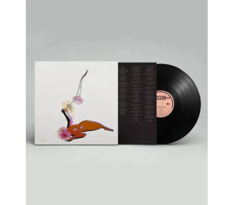 FUTURE ISLANDS - FAR FIELD LP
