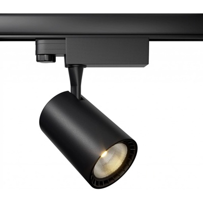 MAYTONI TR029-3-10W4K-B