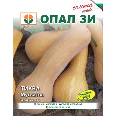 Opal Zi Тиква Мускатна