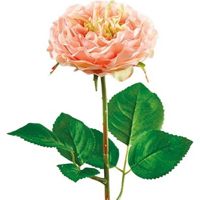 Florissima! Ruža 52 cm svetloružová - Florissima
