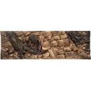 ATG pozadie Kořeny 200 x 50 cm