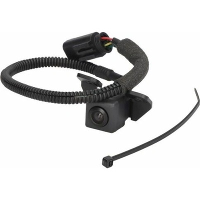 BLIC 6006-00-0009P