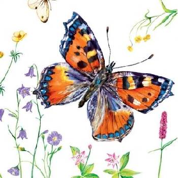 ubrousky 33 x 33 cm motýli