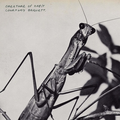 Courtney Barnett - Creature Of Habit (LP) (0198704841859)