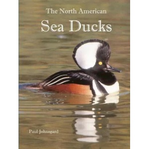 North American Sea Ducks | PAUL JOHNSGARD (ISBN: 9781609621063)