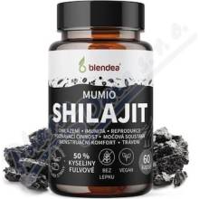 Blendea Shilajit extrakt 60 kapslí