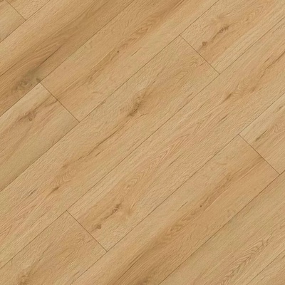 Republic Grizzly G016 Hype 2,22 m²