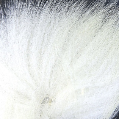 Veniard Polární Liška Arctic Fox Tail White