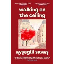 Walking on the Ceiling