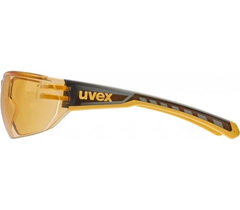 Uvex Equate