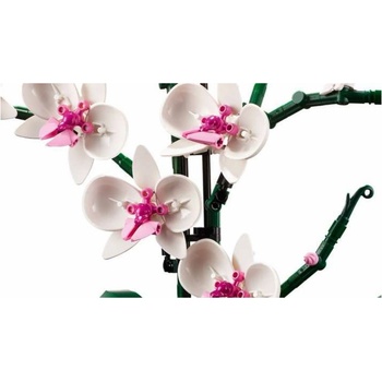 LEGO® Icons 10311 Orchidej