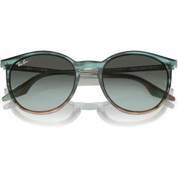 Image 1 of Ray-Ban RB2204 1394GK