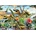 Educa - Puzzle Dinosaurs - 500 piese