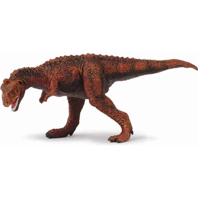 Collecta Majungatholus