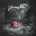 Amorphis - Silent Waters CD