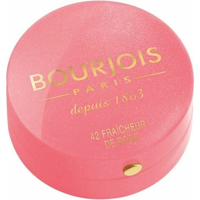 Bourjois Blush Tvářenka 85 Sienne 2,5 g – Zboží Dáma