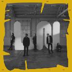 Universal Local Natives: Time Will Wait For No One - Vinyl (LP) (062277)