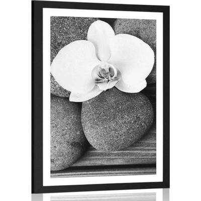 Plakát s paspartou wellness kameny a orchidej na dřevěném pozadí v černobílém provedení - 40x60 black