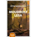 Moudrost lesa