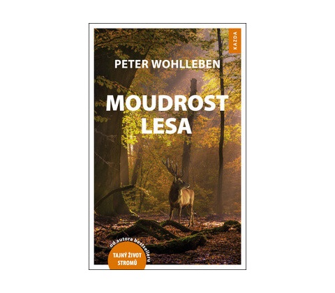 Moudrost lesa