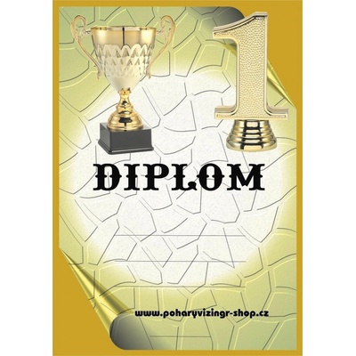 VIZINGR Diplom A4 Dč.51