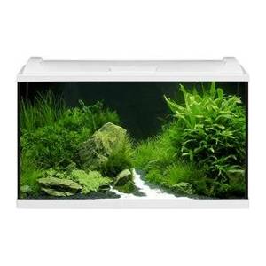 EHEIM Аквариум EHEIM Aquapro LED 84 - Професионален комплект - бял (7094)