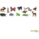 Figúrky a zvieratká Safari Ltd. Tuba V lese