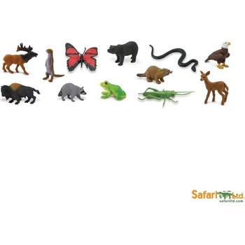 Safari Ltd. Tuba V lese