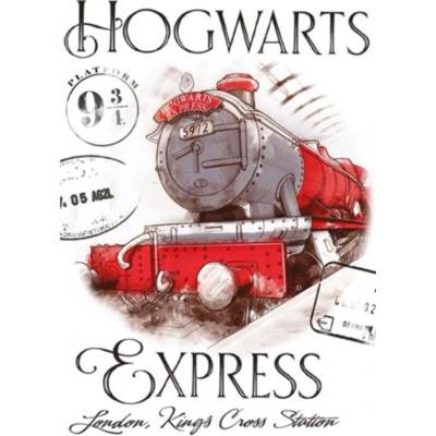 Carbotex Detský uterák Harry Potter Rokfortský Express 30 x 50 cm