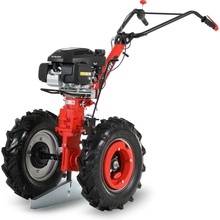 VARI IV Global HONDA GCV200