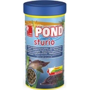 Dajana Pond Sturio jeseter 1 l