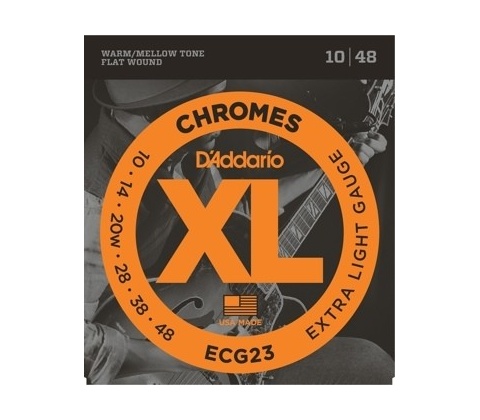 DAddario ECG24