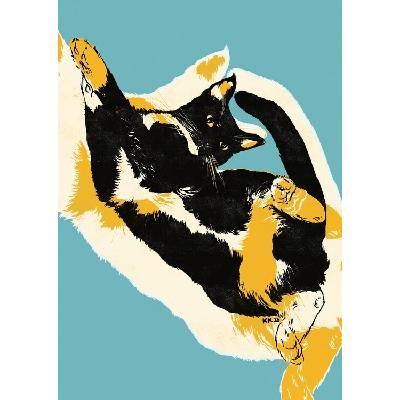Plagát, Obraz - Playful Calico Cat, Katariina Kosunen, 30 × 40 cm