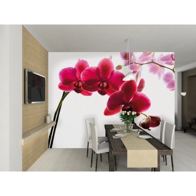 1Wall Tapeta Orchidej 315x232 cm