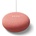 Google Nest Mini