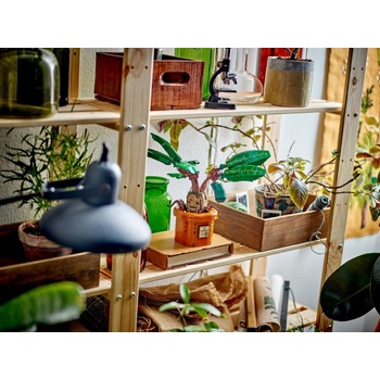 Image 1 of LEGO® Harry Potter™ - Mandrake (76433)