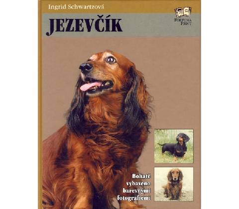 Jezevčík