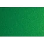 Fabriano Картон Colore, 70 x 100 cm, 200 g/m2, № 231, зелен (42303231/100_VERDE)