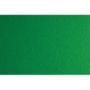 Fabriano Картон Colore, 70 x 100 cm, 200 g/m2, № 231, зелен (42303231/100_VERDE)