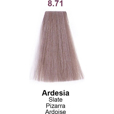 Nouvelle 8.71 bridlica