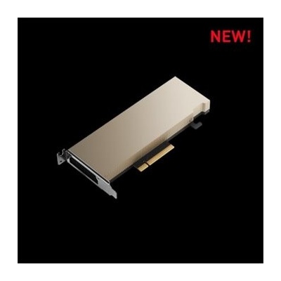 PNY RTX A2 16GB GDDR6 TCSA2M-PB