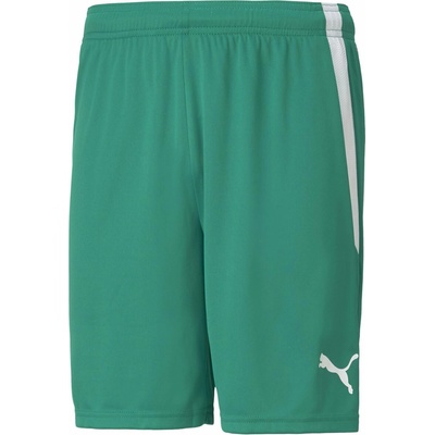 Puma Team Liga Shorts Zelená,Biela L