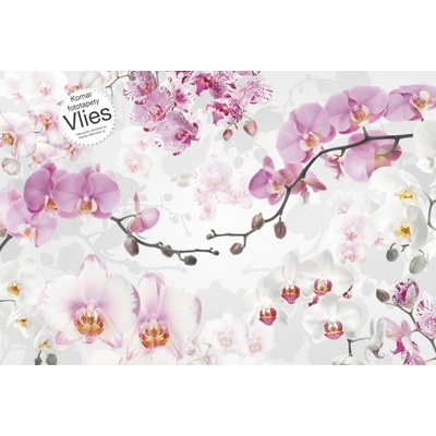 Komar XXL4-032 Vliesová fototapeta Allure orchidea růžová rozměry 368x248 cm