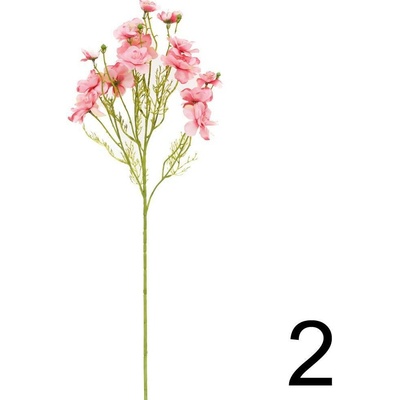 Delphinium kus 75cm ružový 241095R