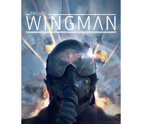 Project Wingman