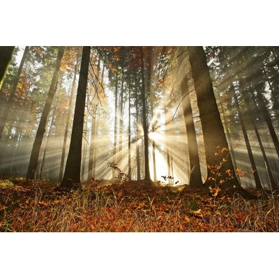 DIMEX ART Флизелинов фототапет гора на разсъмване 375 x 250 см